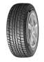 Dunlop Graspic DS2
