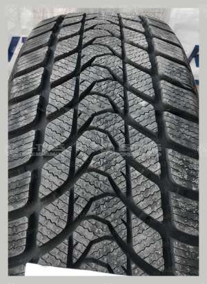 Delinte Winter WD1 215/65 R16 98H