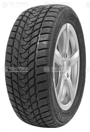 Delinte Winter WD1 215/65 R16 98H