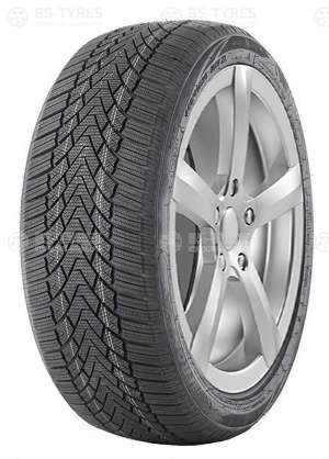 FronWay Icemaster I 235/35 R19 91V