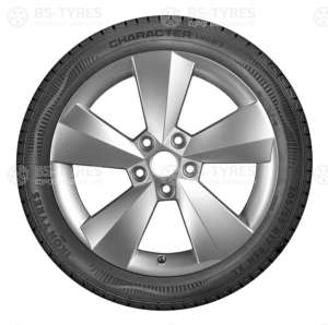 Ikon (Nokian Tyres) Character Snow 2 (Nordman RS2) SUV 225/55 R18 102R