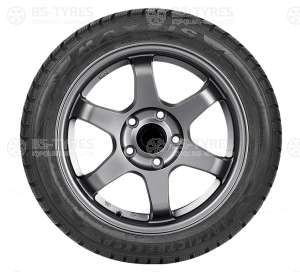 Maxxis WP-05 Arctic trekker 205/45 R16 87H
