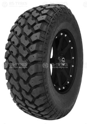 Roadian M/T