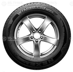 Winguard WT1