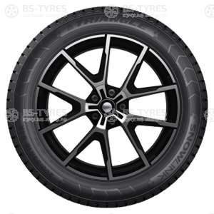 Triangle Snow PL01 195/55 R16 91R