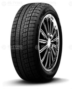 Winguard Ice 2